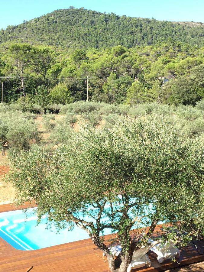 La Villa Aux Oliviers Le Val Exterior foto